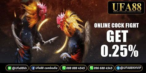 online cockfighting game|Cock Fighters ️ Two Player Games.